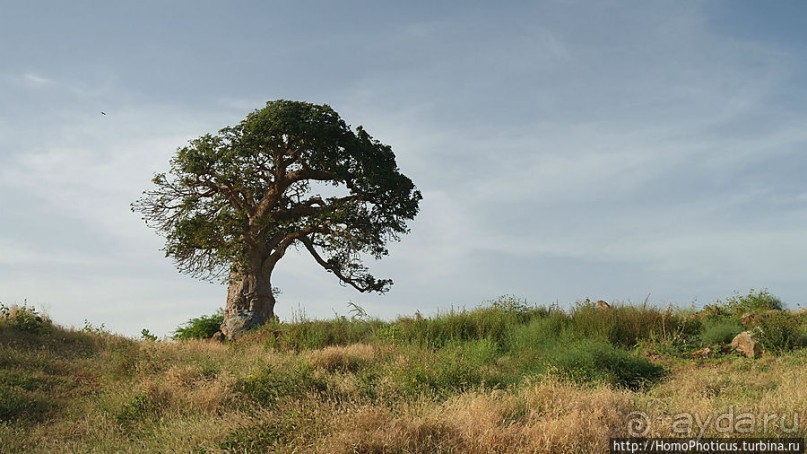 На Зеленом мысу, в самой западной Африке