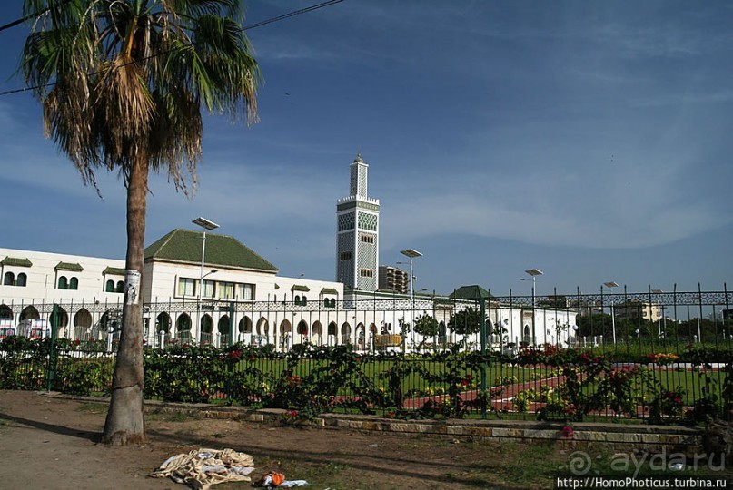 На Зеленом мысу, в самой западной Африке