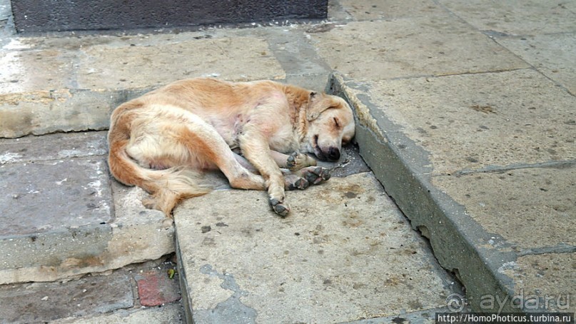 Блеск и нищета западной Африки, или когда уходят оккупанты