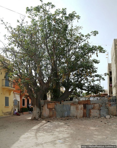 Блеск и нищета западной Африки, или когда уходят оккупанты