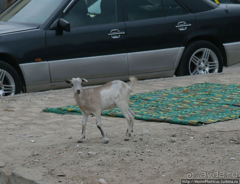 Блеск и нищета западной Африки, или когда уходят оккупанты