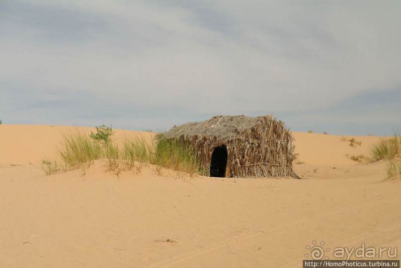 Альбом отзыва "Жизнь в пустыне"