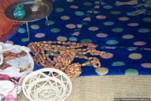 Альбом отзыва "Жизнь в пустыне"