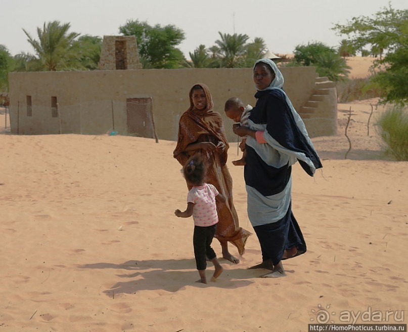 Альбом отзыва "Жизнь в пустыне"