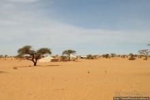 Альбом отзыва "Жизнь в пустыне"