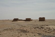 Альбом отзыва "Жизнь в пустыне"