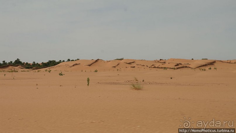 Альбом отзыва "Жизнь в пустыне"