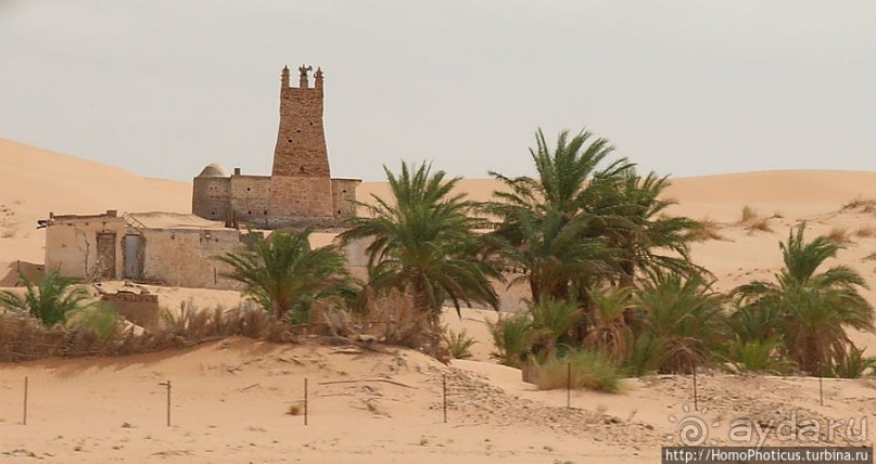 Жизнь в пустыне