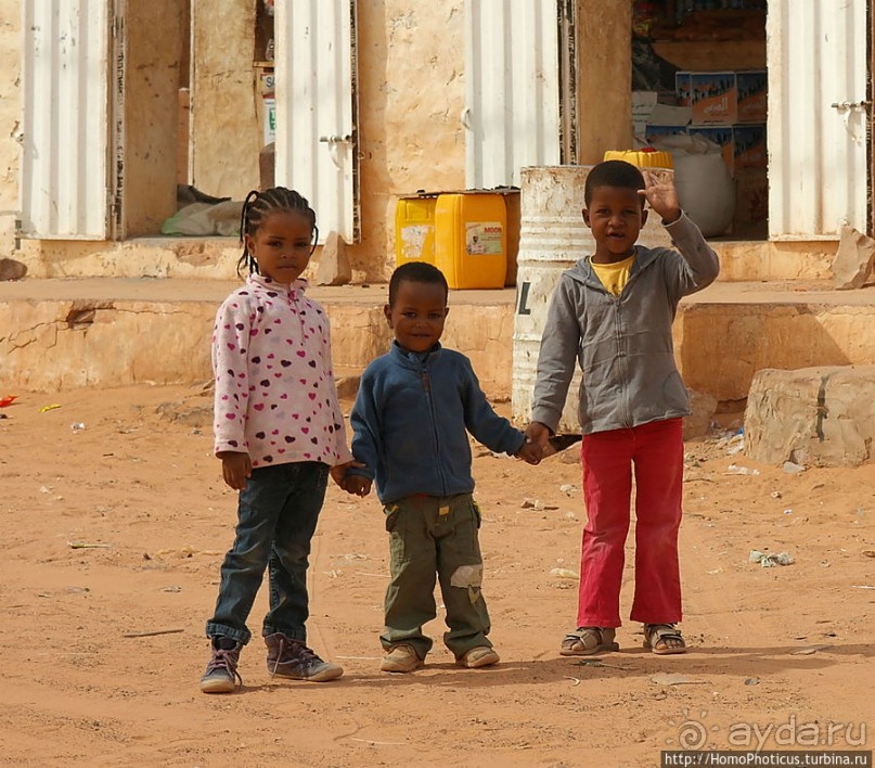 Жизнь в пустыне