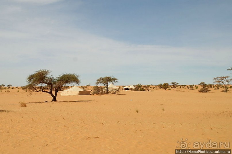 Жизнь в пустыне