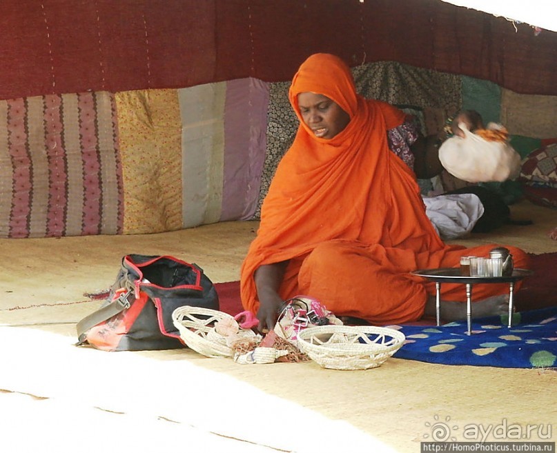 Жизнь в пустыне