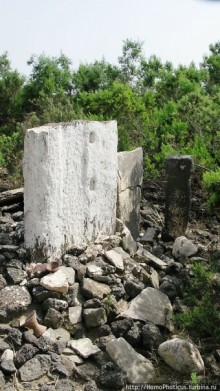 Альбом отзыва "Адулис: остатки былой мощи Аксума"