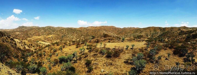 Альбом отзыва "Адулис: остатки былой мощи Аксума"