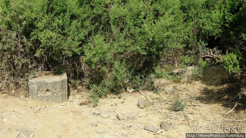 Адулис: остатки былой мощи Аксума