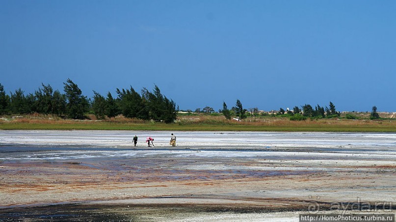 Не совсем розовое озеро