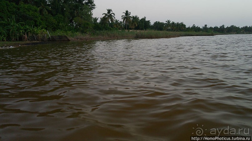 Не совсем розовое озеро
