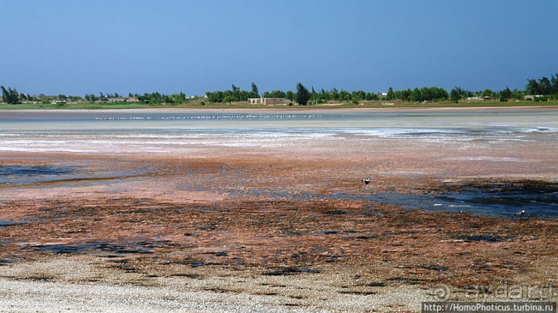 Не совсем розовое озеро