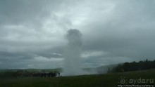 Обязательная программа: маслобойка и туманное золото
