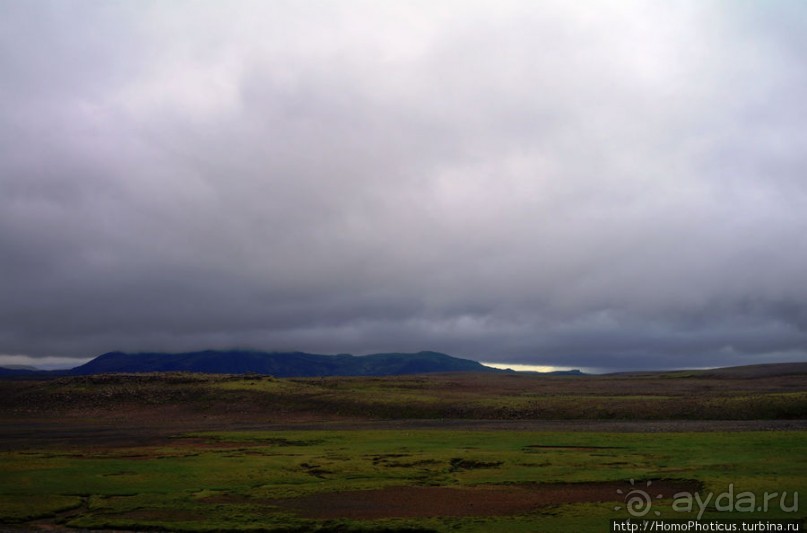 Обязательная программа: маслобойка и туманное золото