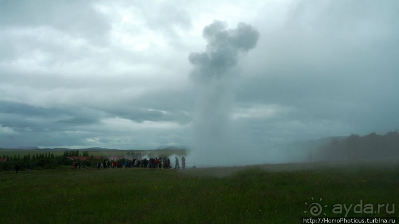 Обязательная программа: маслобойка и туманное золото