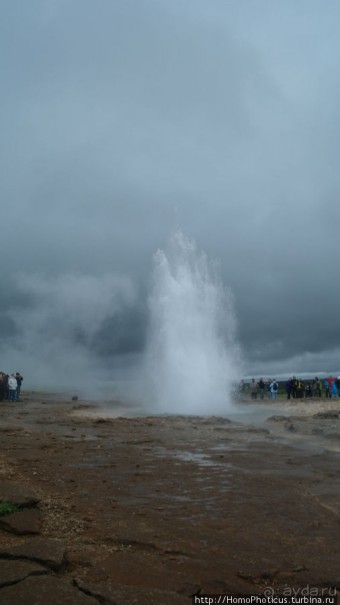 Обязательная программа: маслобойка и туманное золото