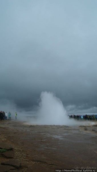 Обязательная программа: маслобойка и туманное золото