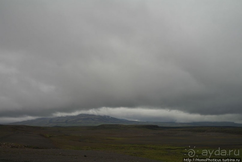 Обязательная программа: маслобойка и туманное золото