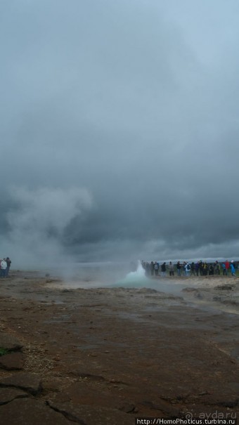 Обязательная программа: маслобойка и туманное золото