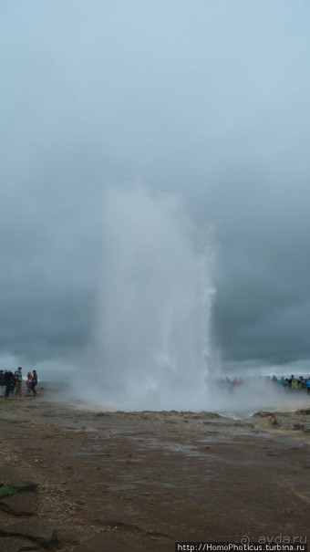 Обязательная программа: маслобойка и туманное золото