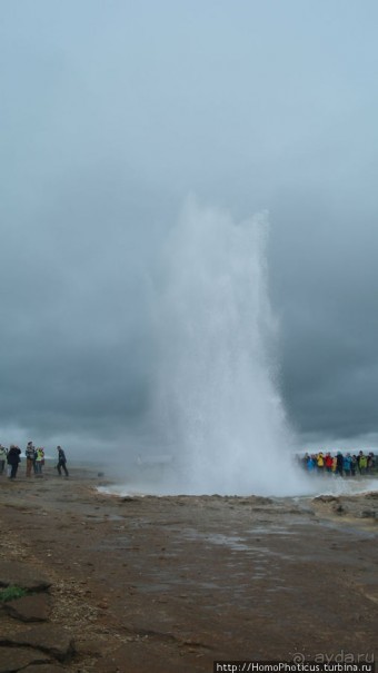Обязательная программа: маслобойка и туманное золото
