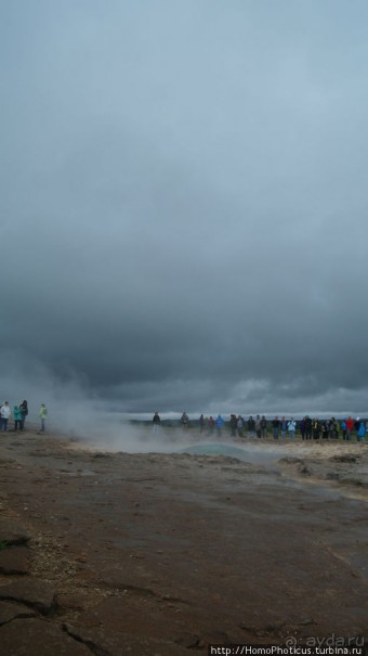 Обязательная программа: маслобойка и туманное золото