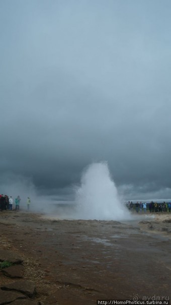 Обязательная программа: маслобойка и туманное золото