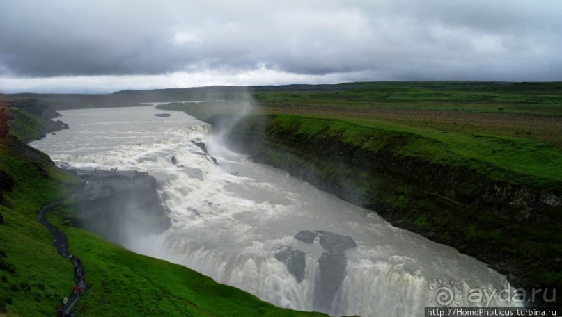 Обязательная программа: маслобойка и туманное золото