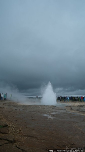 Обязательная программа: маслобойка и туманное золото