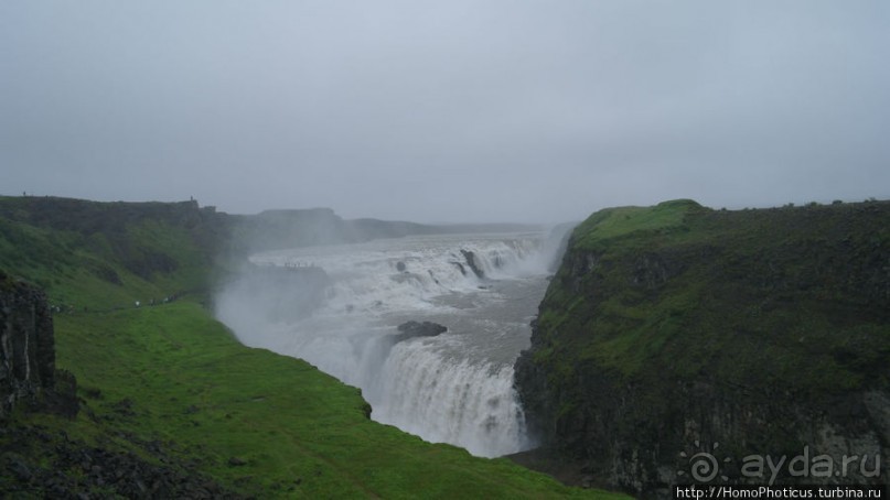 Обязательная программа: маслобойка и туманное золото