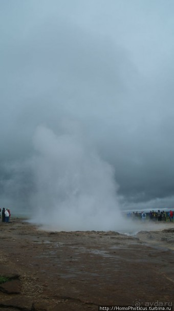Обязательная программа: маслобойка и туманное золото