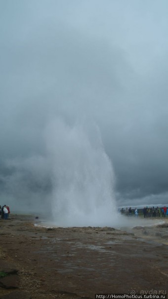 Обязательная программа: маслобойка и туманное золото