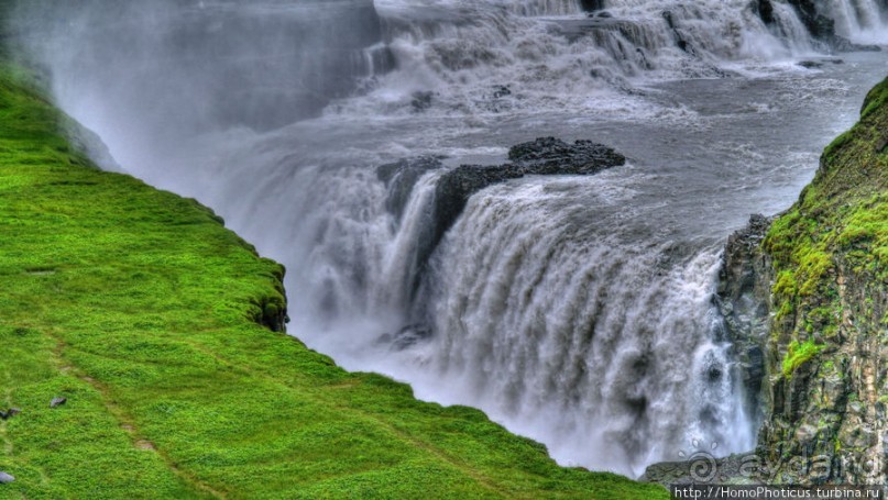 Обязательная программа: маслобойка и туманное золото