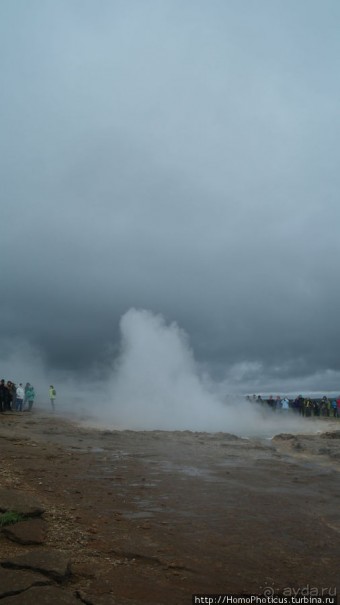 Обязательная программа: маслобойка и туманное золото