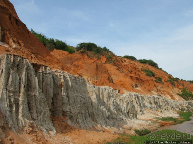 Океан и дюны