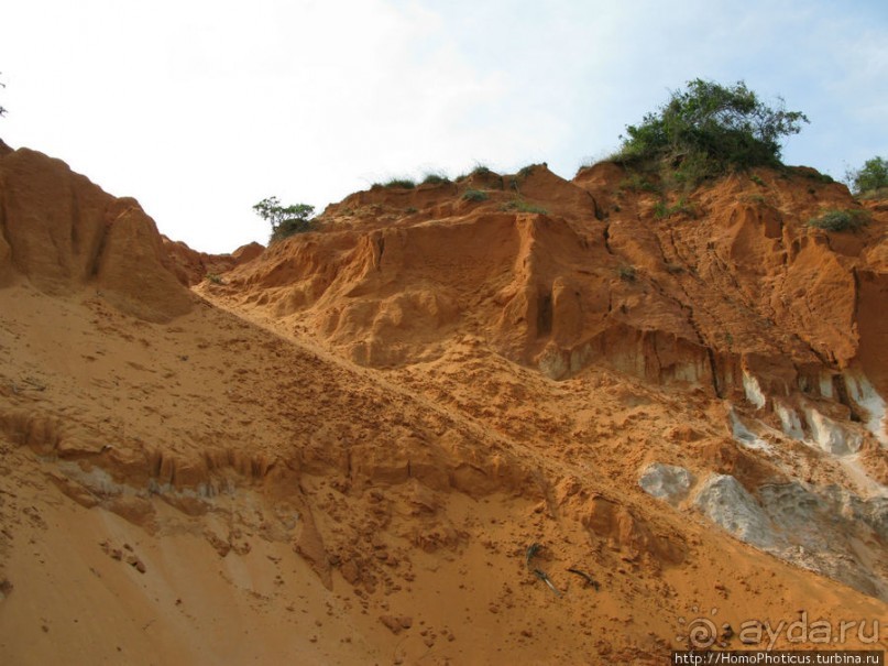 Океан и дюны