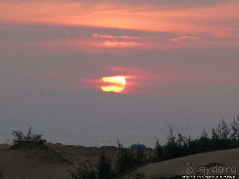 Океан и дюны