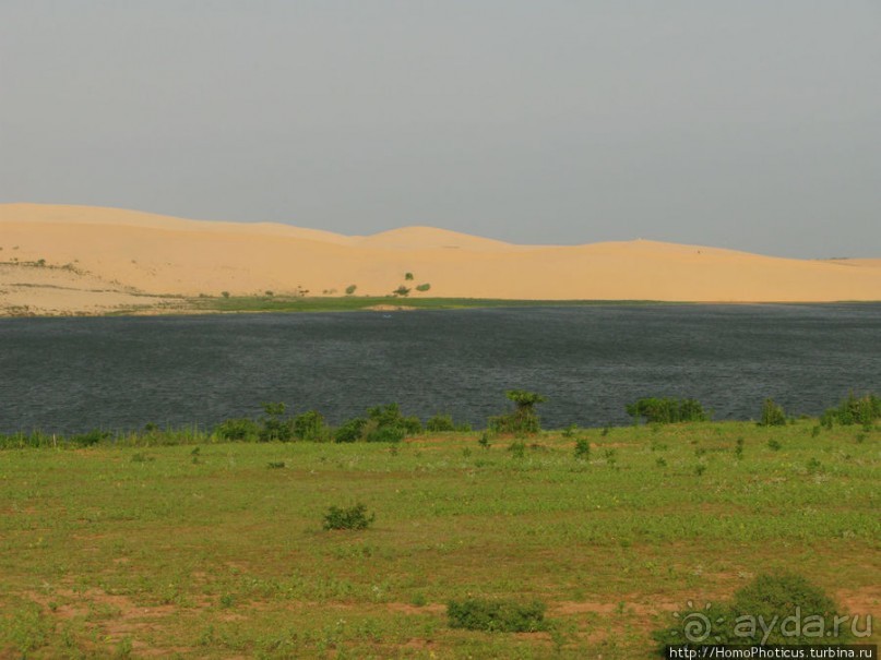 Океан и дюны