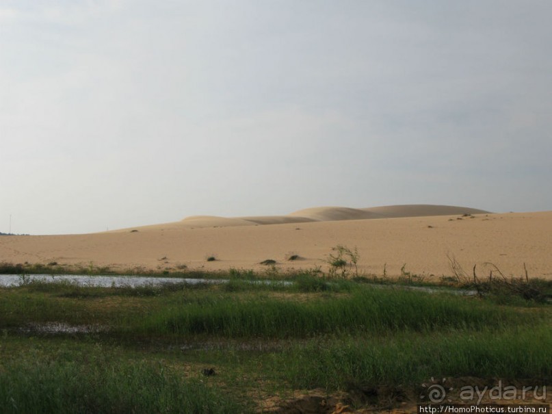 Океан и дюны