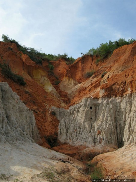 Океан и дюны