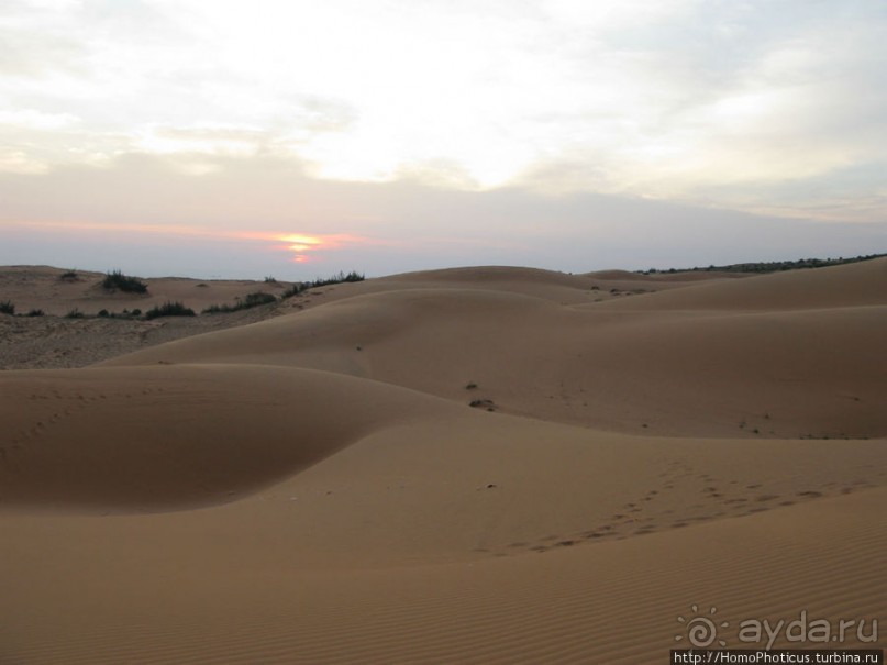 Океан и дюны