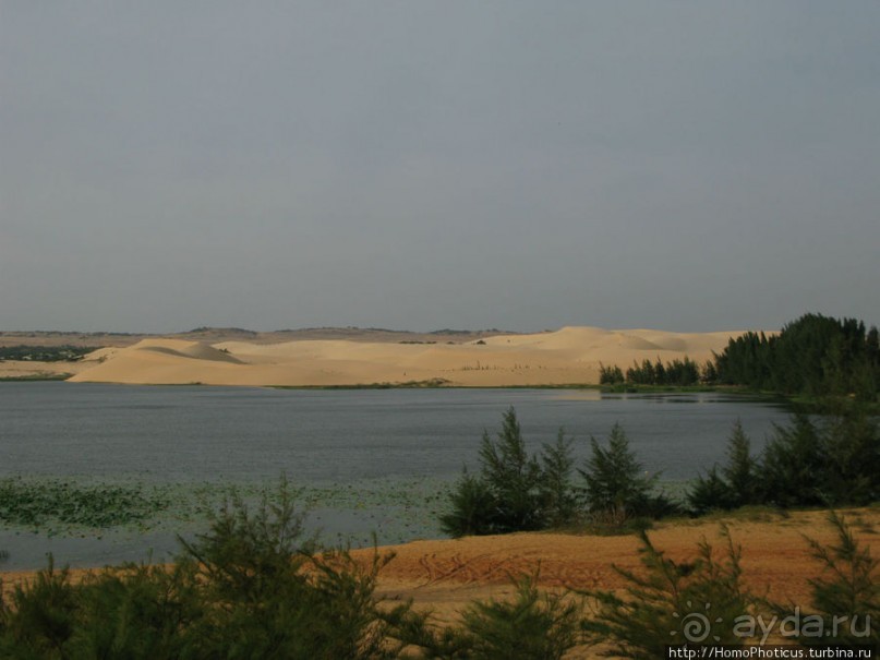 Океан и дюны