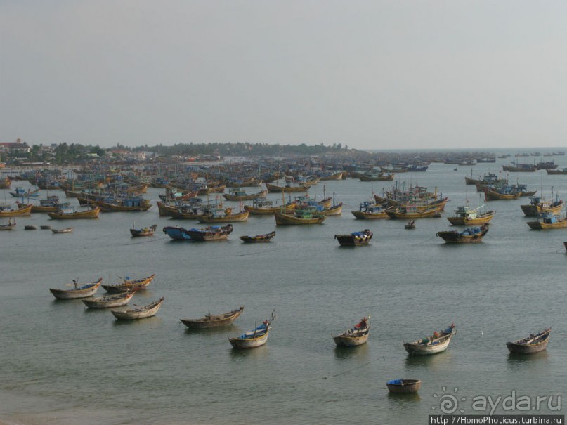 Океан и дюны