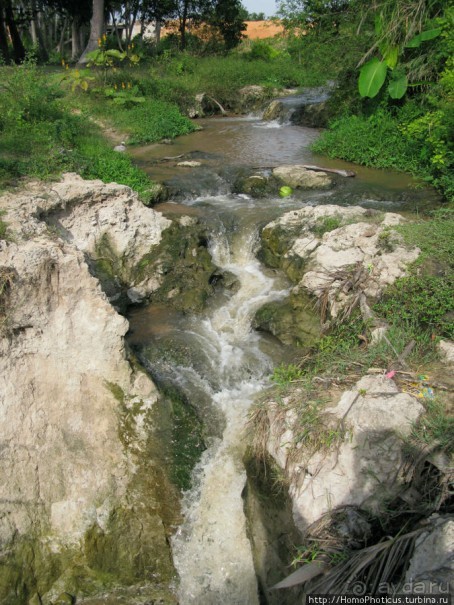 Океан и дюны