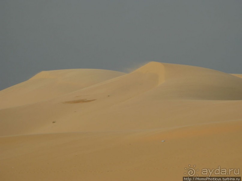 Океан и дюны